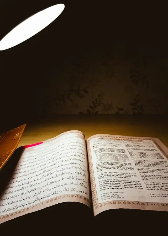 online quran reading with urdu translation and tafseer