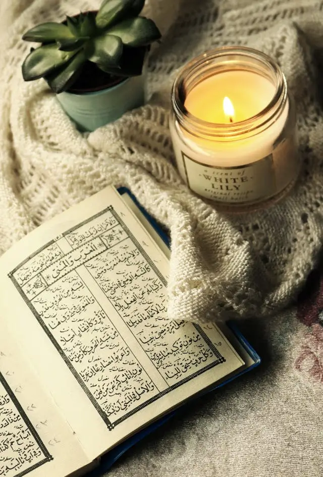 Quran Translation & Tafseer Online, Understand the Quran in Depth
